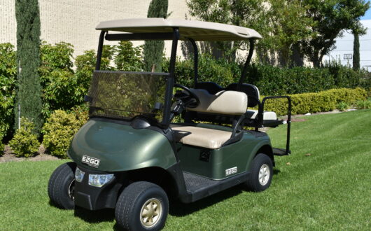 4 Passenger Golf Cart Rxv, #B19