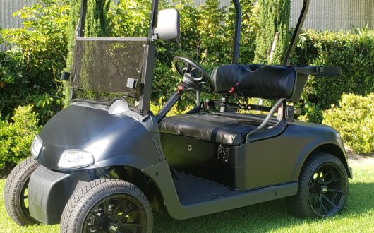 2 Passenger Matte Black Low Profile Golf Cart, #A2