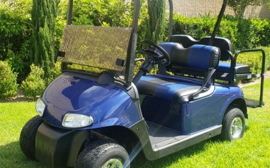 2014 Ezgo Rxv Electric 48 Volt Golf Cart – Blue, #B1