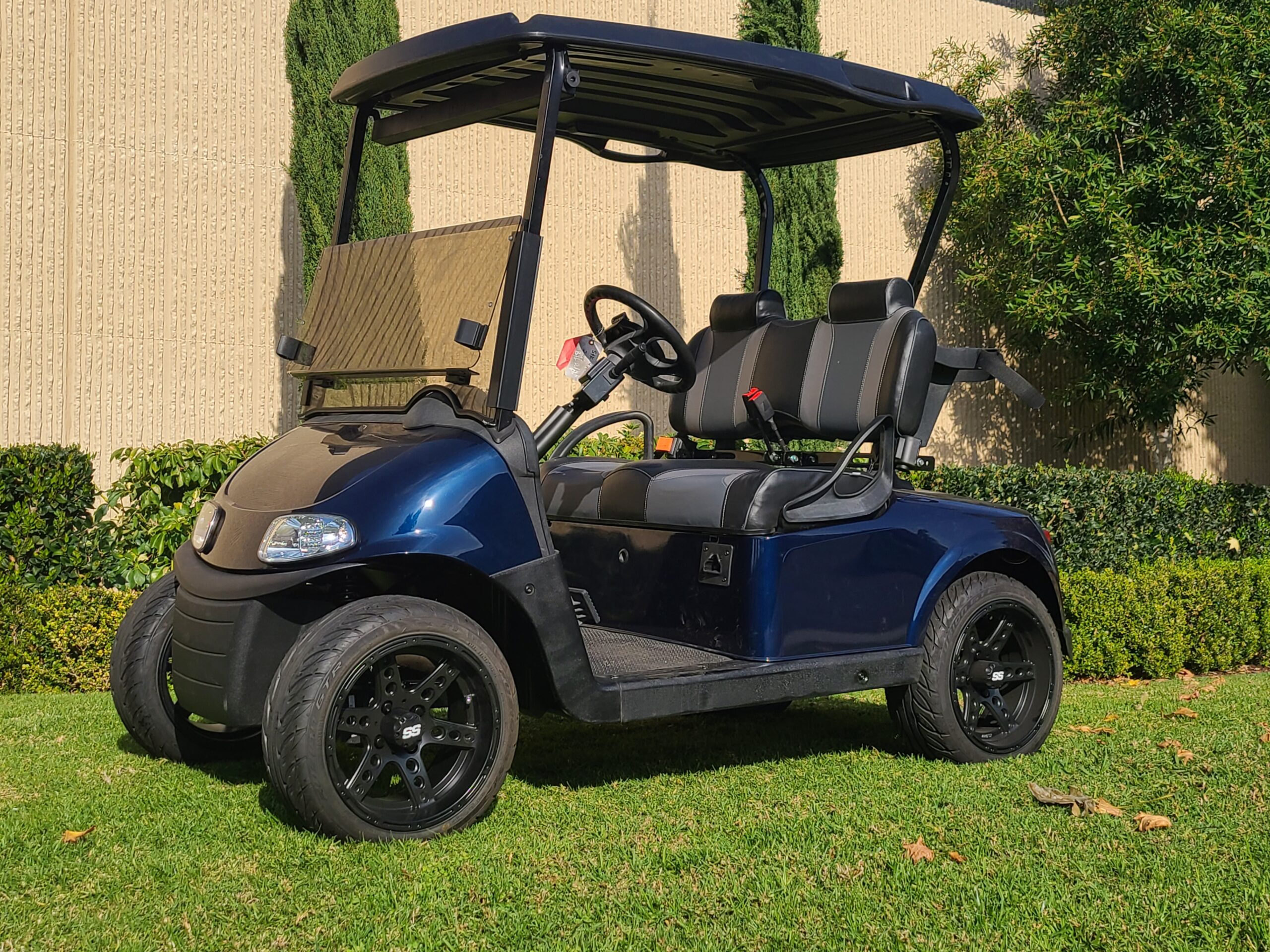 Ezgo Electric Rxv Low Profile 2 Passenger Golf Cart- Blue, #A6