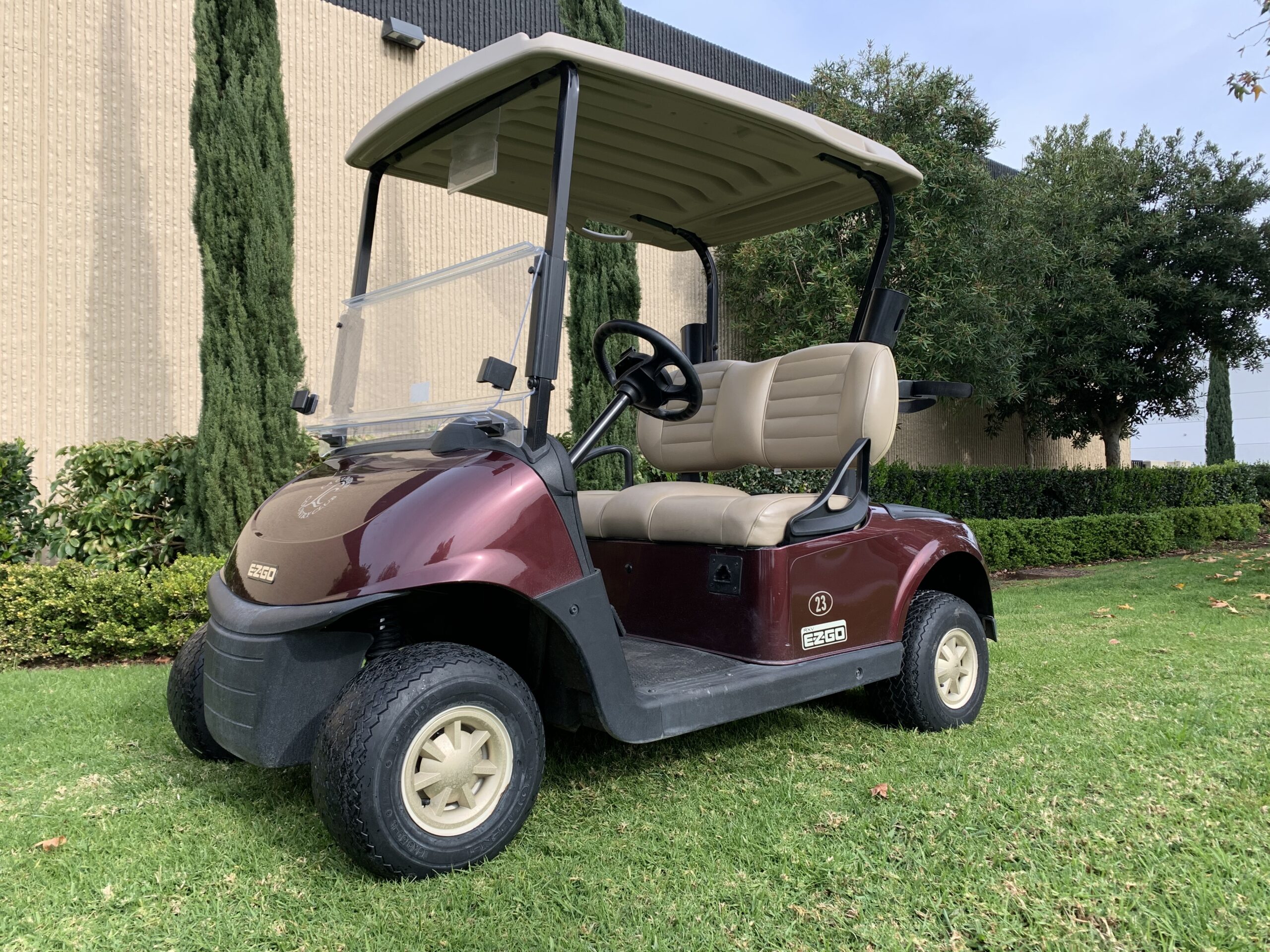 Ezgo Rxv 2 Passenger Golf Cart Straight Off The Course, #A7